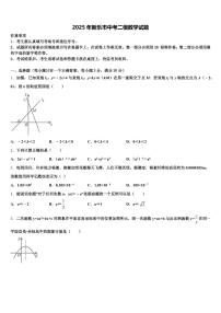 2025年新乐市中考二模数学试题含解析
