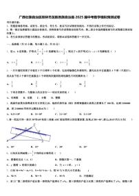 广西壮族自治区桂林市龙胜各族自治县2025届中考数学模拟预测试卷含解析