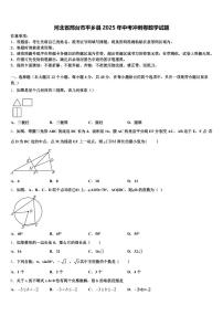 河北省邢台市平乡县2025年中考冲刺卷数学试题含解析
