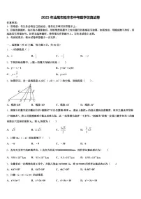 2025年汕尾市陆丰市中考数学仿真试卷含解析