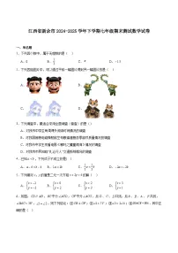 江西省新余市2024-2025学年七年级下学期期末测试数学试卷(含解析)