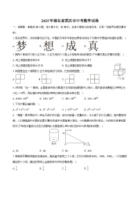 2025年湖北省武汉市中考数学试卷（含答案）