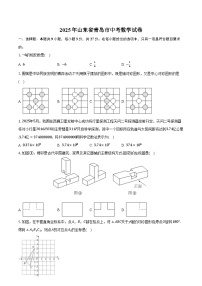 2025年山东省青岛市中考数学试卷（含解析）