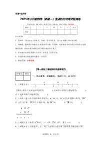2025年小升初数学（新初一上学期开学考）重点校分班考试检测卷