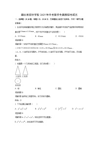 【数学】湖北省部分学校2025年中考全真模拟考试三（解析版）