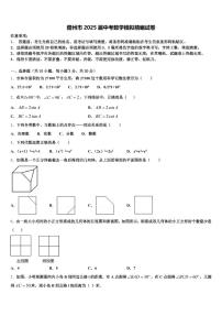 儋州市2025届中考数学模拟精编试卷含解析