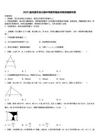 2025届河源市龙川县中考数学最后冲刺浓缩精华卷含解析