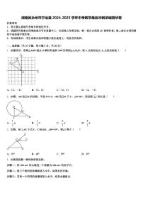 湖南省永州市宁远县2024-2025学年中考数学最后冲刺浓缩精华卷含解析