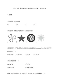 2025年广东省惠州市集团中考（一模）数学试卷