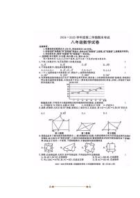 2024～2025学年安徽省合肥市三十八中八年级下数学期末试卷(无答案)