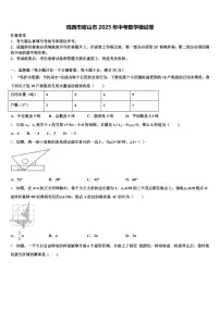 鸡西市密山市2025年中考数学模试卷含解析