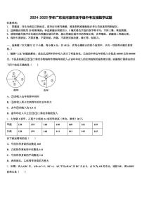 2024-2025学年广东省河源市连平县中考五模数学试题含解析