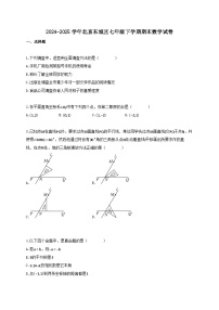 2024_2025学年北京东城区七年级下册期末数学试卷【附答案】