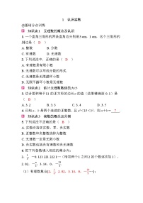 北师大版(2024)八年级上册(2024)1 认识实数优秀课时作业