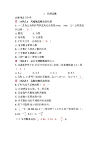北师大版(2024)八年级上册(2024)1 认识实数优秀课时作业