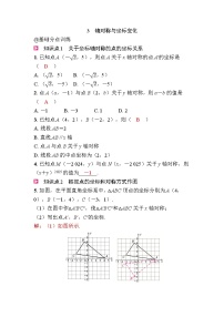 北师大版（2024）八年级上册（2024）3 轴对称与坐标变化精品同步训练题