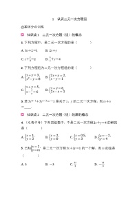 初中数学北师大版(2024)八年级上册(2024)1 认识二元一次方程组精品综合训练题