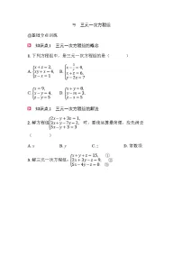 北师大版(2024)八年级上册(2024)*5 三元一次方程组优秀同步达标检测题