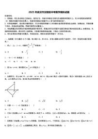 2025年武汉市汉阳区中考数学模拟试题含解析