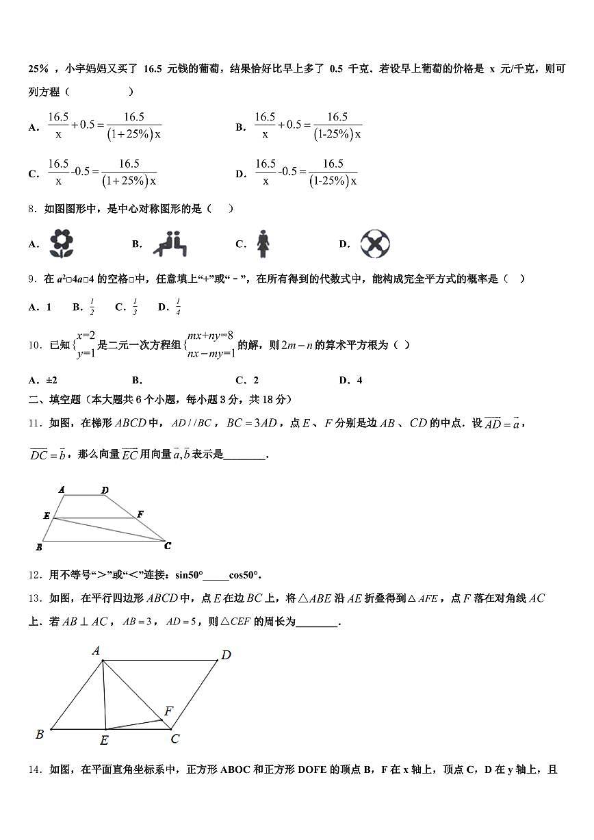 四川省凉山彝族自治州木里藏族自治县2024-2025学年中考数学最后冲刺模拟试卷含解析第2页
