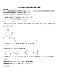 2025届陈巴尔虎旗中考五模数学试题含解析