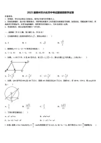 2025届泰州市兴化市中考试题猜想数学试卷含解析