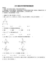 2025届衡水市中考数学模拟精编试卷含解析