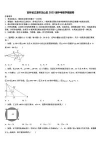 吉林省辽源市龙山区2025届中考数学猜题卷含解析