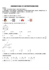 河南省南阳市方城县2025届中考数学考试模拟冲刺卷含解析
