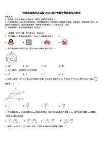 河南省南阳市方城县2025届中考数学考试模拟冲刺卷含解析