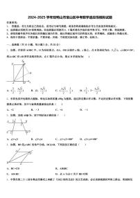 2024-2025学年双鸭山市宝山区中考数学适应性模拟试题含解析