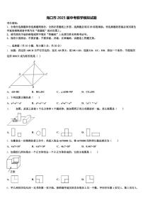 海口市2025届中考数学模拟试题含解析