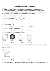 定西地区通渭县2025届中考数学猜题卷含解析