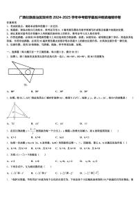 广西壮族自治区贺州市2024-2025学年中考数学最后冲刺浓缩精华卷含解析