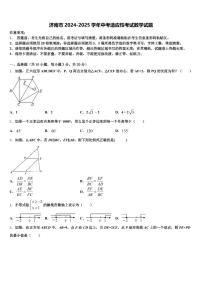 济南市2024-2025学年中考适应性考试数学试题含解析