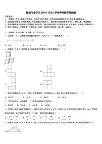 锦州市北宁市2024-2025学年中考数学押题卷含解析