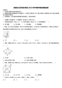 海南省三亚市南沙群岛2025年中考数学模拟精编试卷含解析