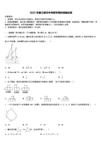 2025年都江堰市中考数学模拟精编试卷含解析