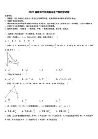 2025届临汾市洪洞县中考二模数学试题含解析