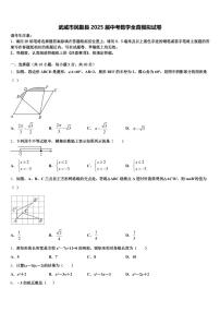武威市民勤县2025届中考数学全真模拟试卷含解析