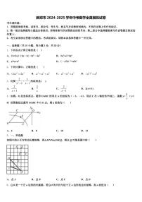 新郑市2024-2025学年中考数学全真模拟试卷含解析