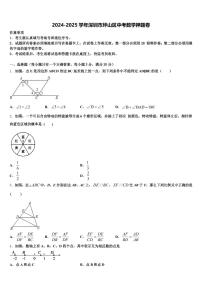 2024-2025学年深圳市坪山区中考数学押题卷含解析