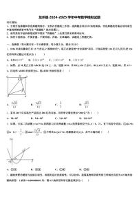 龙州县2024-2025学年中考数学模拟试题含解析