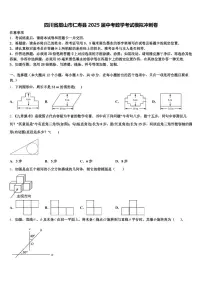 四川省眉山市仁寿县2025届中考数学考试模拟冲刺卷含解析