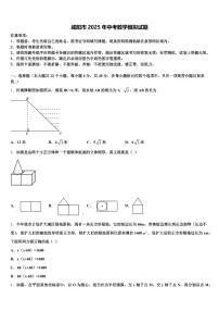 咸阳市2025年中考数学模拟试题含解析