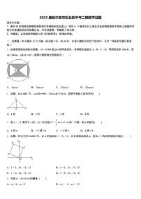 2025届哈尔滨市松北区中考二模数学试题含解析