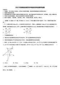 2025年安徽省合肥市中考适应性考试数学试题含解析