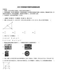 2025年青神县中考数学全真模拟试卷含解析