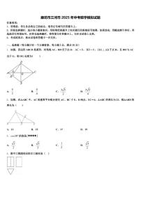 廊坊市三河市2025年中考数学模拟试题含解析