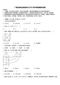 广西壮族自治区梧州市2025年中考四模数学试题含解析